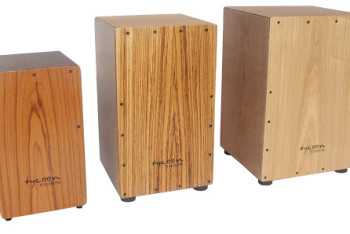 Фотография к новости: "Кахон из балтийской березы" — музыкальное оборудование на миллионы тенге закупает госпредприятие в Жанаозене