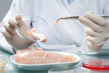 Фотография к новости: Тест-полоски подскажут, есть ли в продукте крысиное, кошачье или собачье мясо