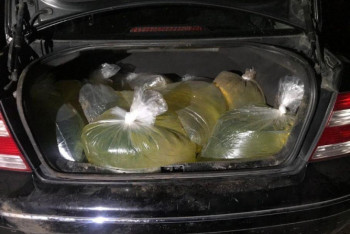 Фотография к новости: Американцев призывают не набирать бензин в пакеты