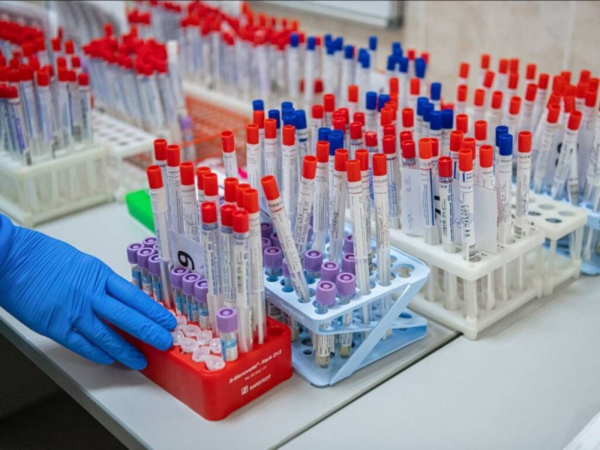 иллюстративное