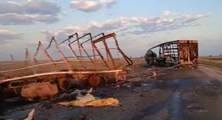 Два человека и 39 лошадей погибли в ДТП на трассе Самара – Шымкент