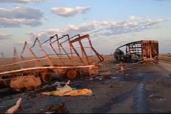 Фотография к новости: Два человека и 39 лошадей погибли в ДТП на трассе Самара – Шымкент