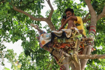 Фотография к новости: Зараженный COVID-19 индус самоизолировался на дереве