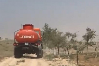 Фотография к новости: Странное видео полива деревьев объяснили в акимате Актау