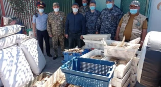 Больше полутонны рыбы и 140 километров сетей изъяли у жительницы Капшагая