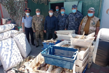 Фотография к новости: Больше полутонны рыбы и 140 километров сетей изъяли у жительницы Капшагая