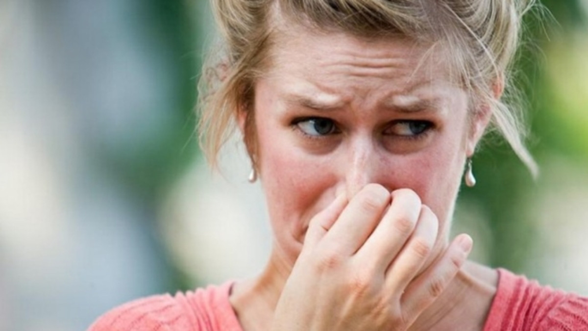 иллюстративное 