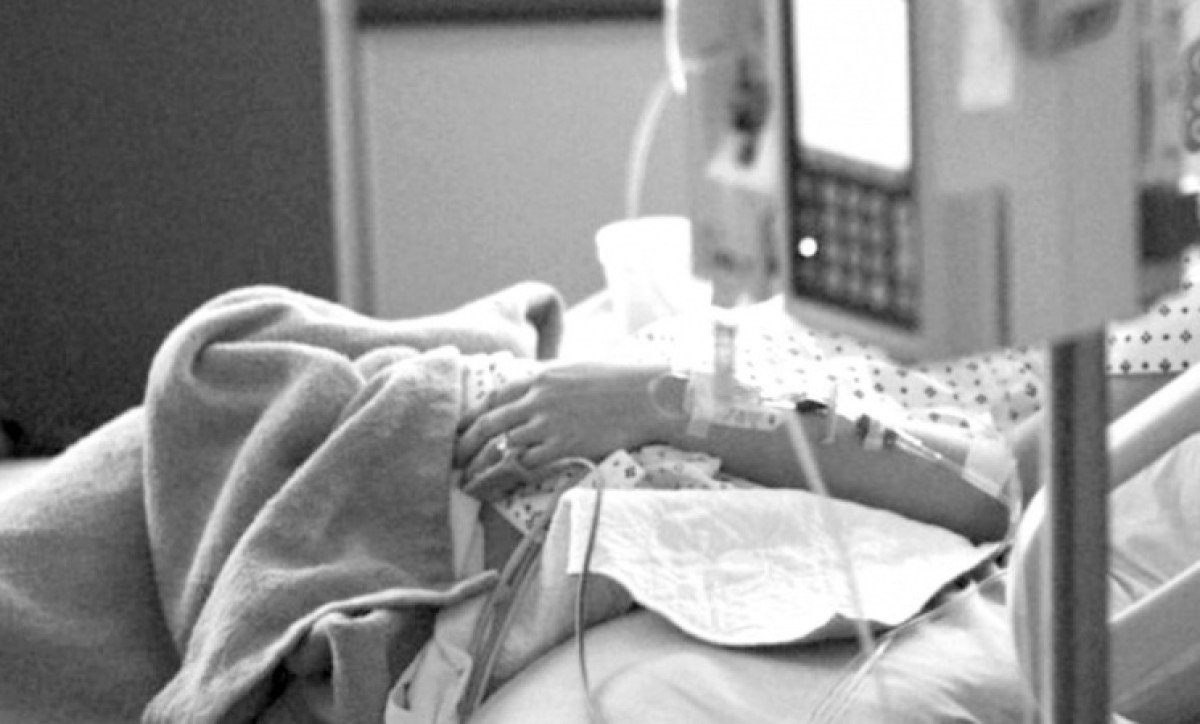 иллюстративное 