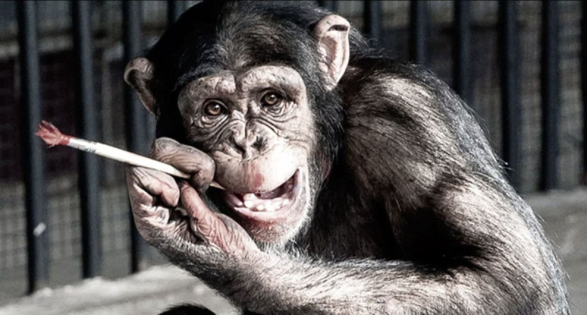 Обезьяна-художница умерла в зоопарке Алматы