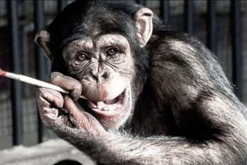 Фотография к новости: Обезьяна-художница умерла в зоопарке Алматы