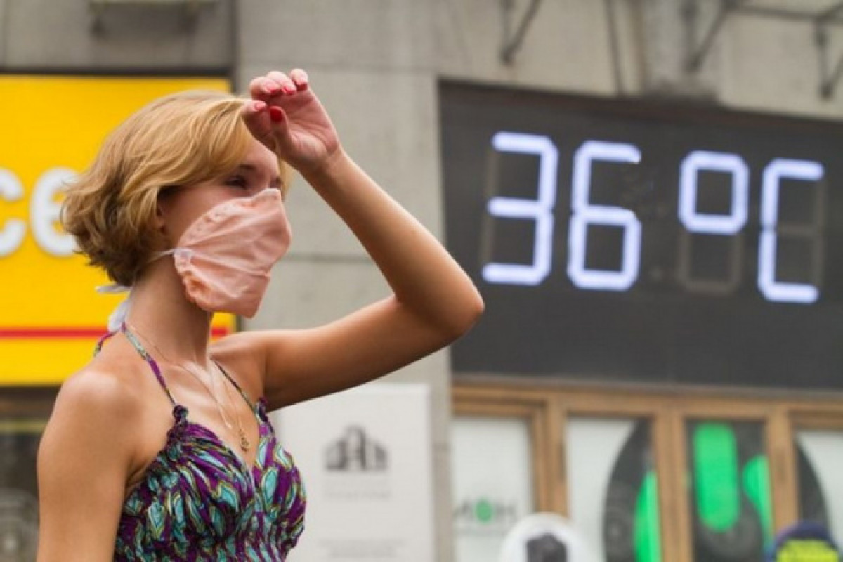 иллюстративное