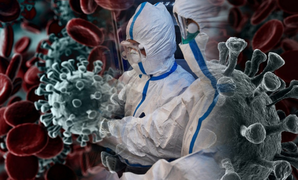 иллюстративное