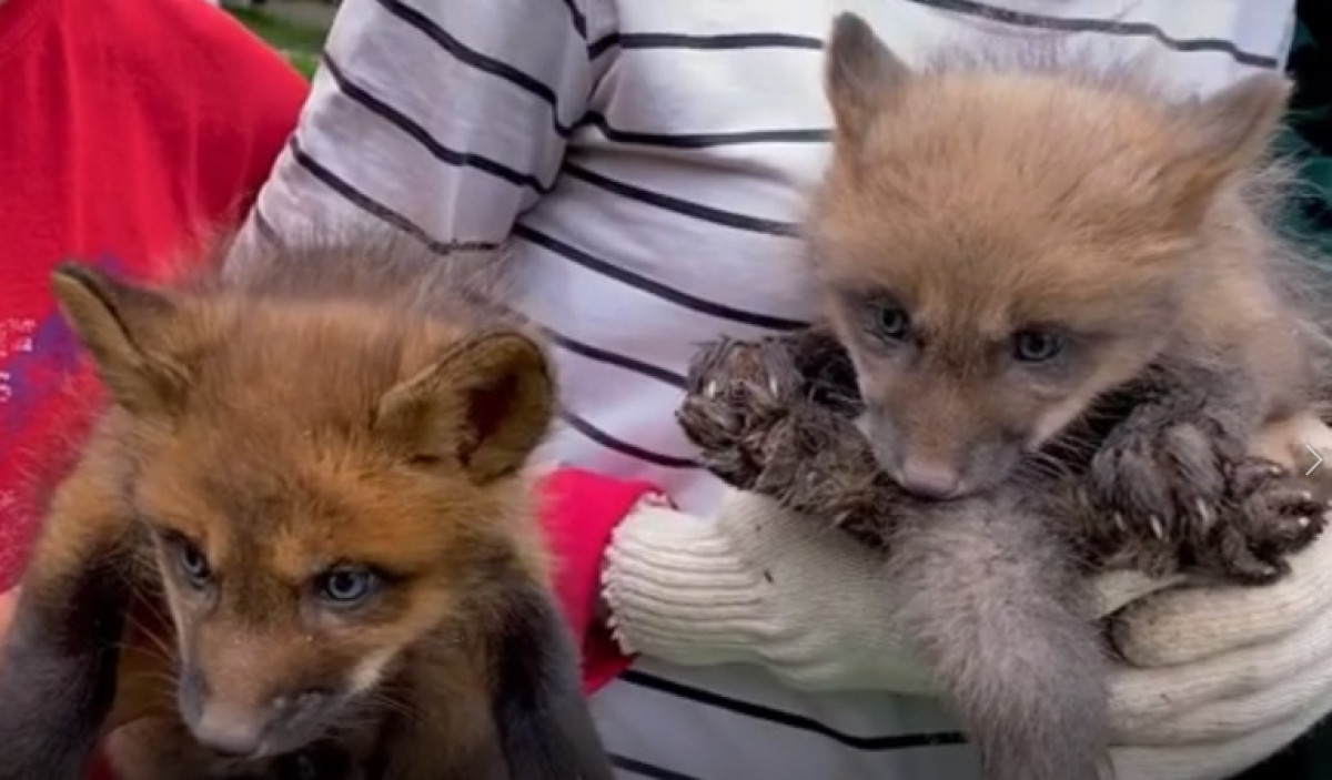 instagram/@almatyzoo