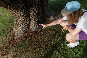 Фотография к новости: Нашествие миллиардов цикад охватило США