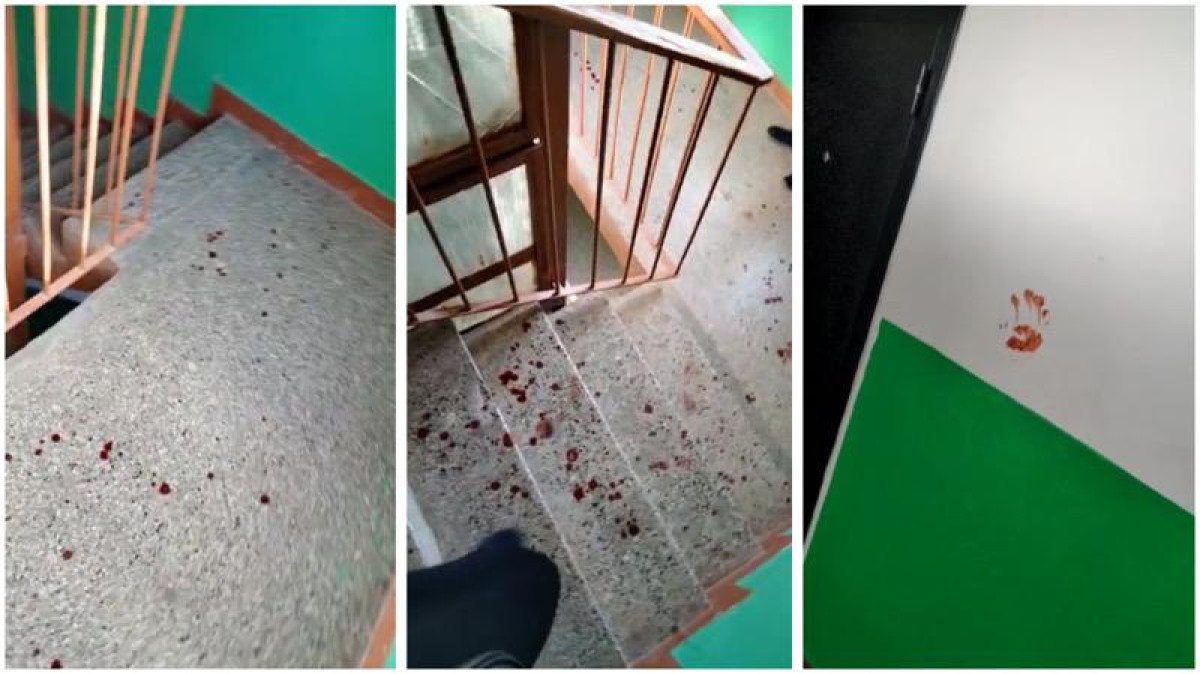 &quot;Мой город&quot; 