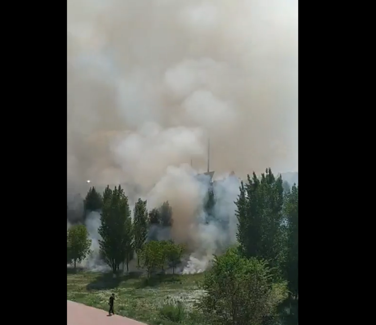 Тополиный пух загорелся возле Акорды