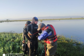 Фотография к новости: Подросток утонул при переезде на лошади через реку в ВКО