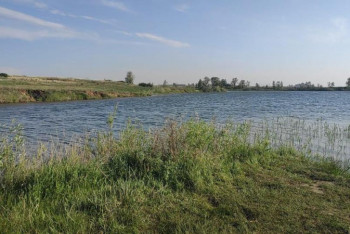 Фотография к новости: Подросток утонул в Караганде