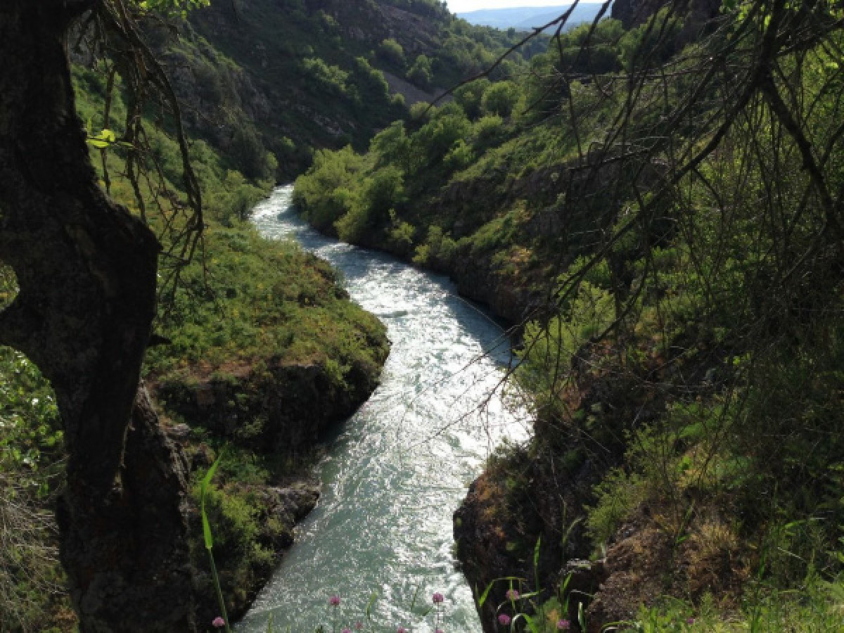 Троих из семи пропавших туристов нашли в горах Туркестанской области