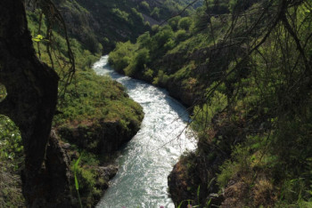 Фотография к новости: Троих из семи пропавших туристов нашли в горах Туркестанской области