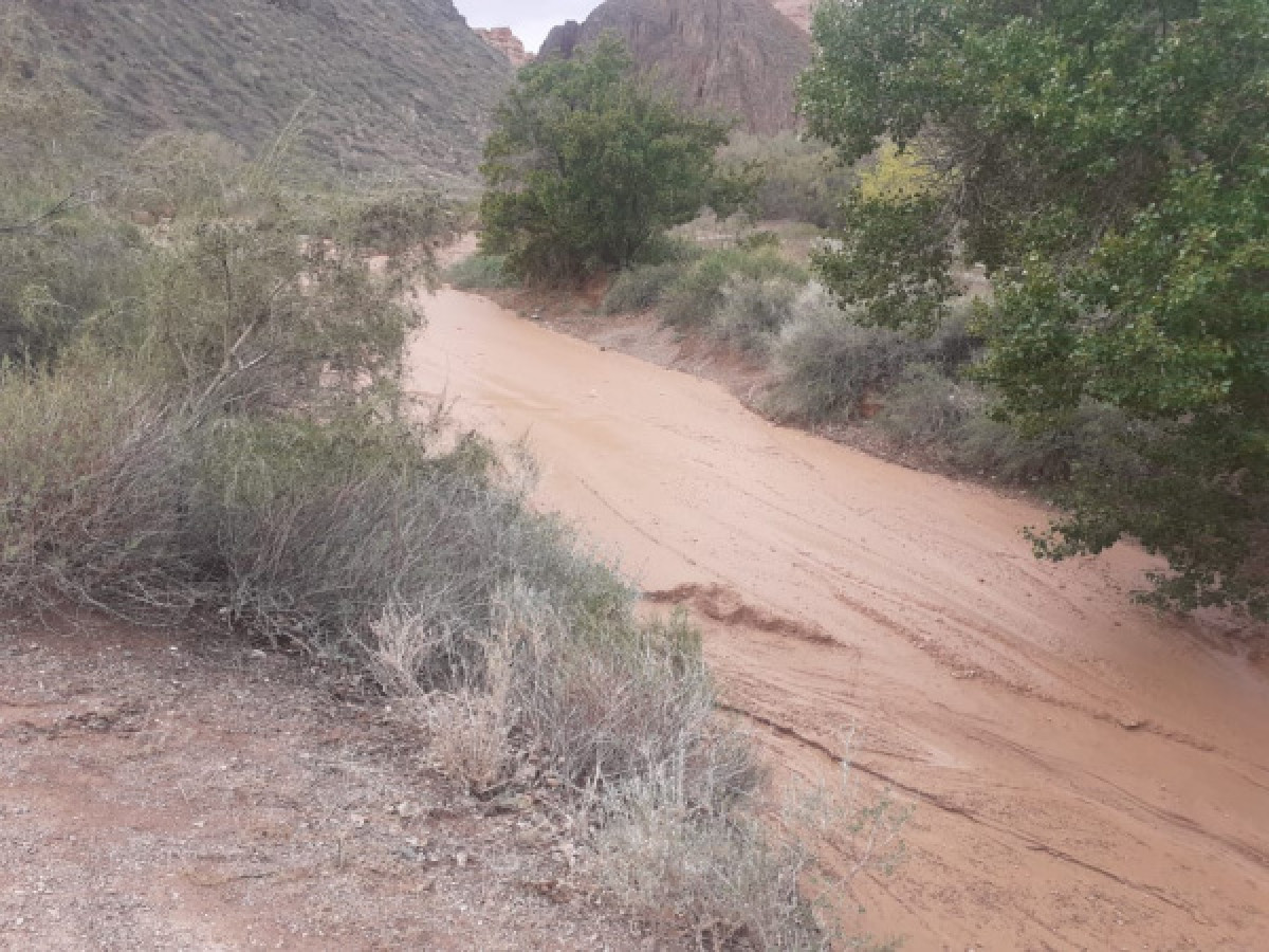 Пропавшую во время селя в Чарынском каньоне школьницу нашли живой