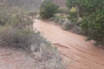 Фотография к новости: Пропавшую во время селя в Чарынском каньоне школьницу нашли живой
