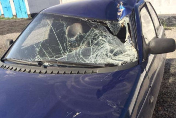 Фотография к новости: Военный сбил насмерть велосипедиста в Карагандинской области