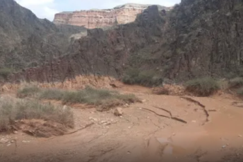 Фотография к новости: О погибшем во время селя учителе рассказали в управлении образования Алматы