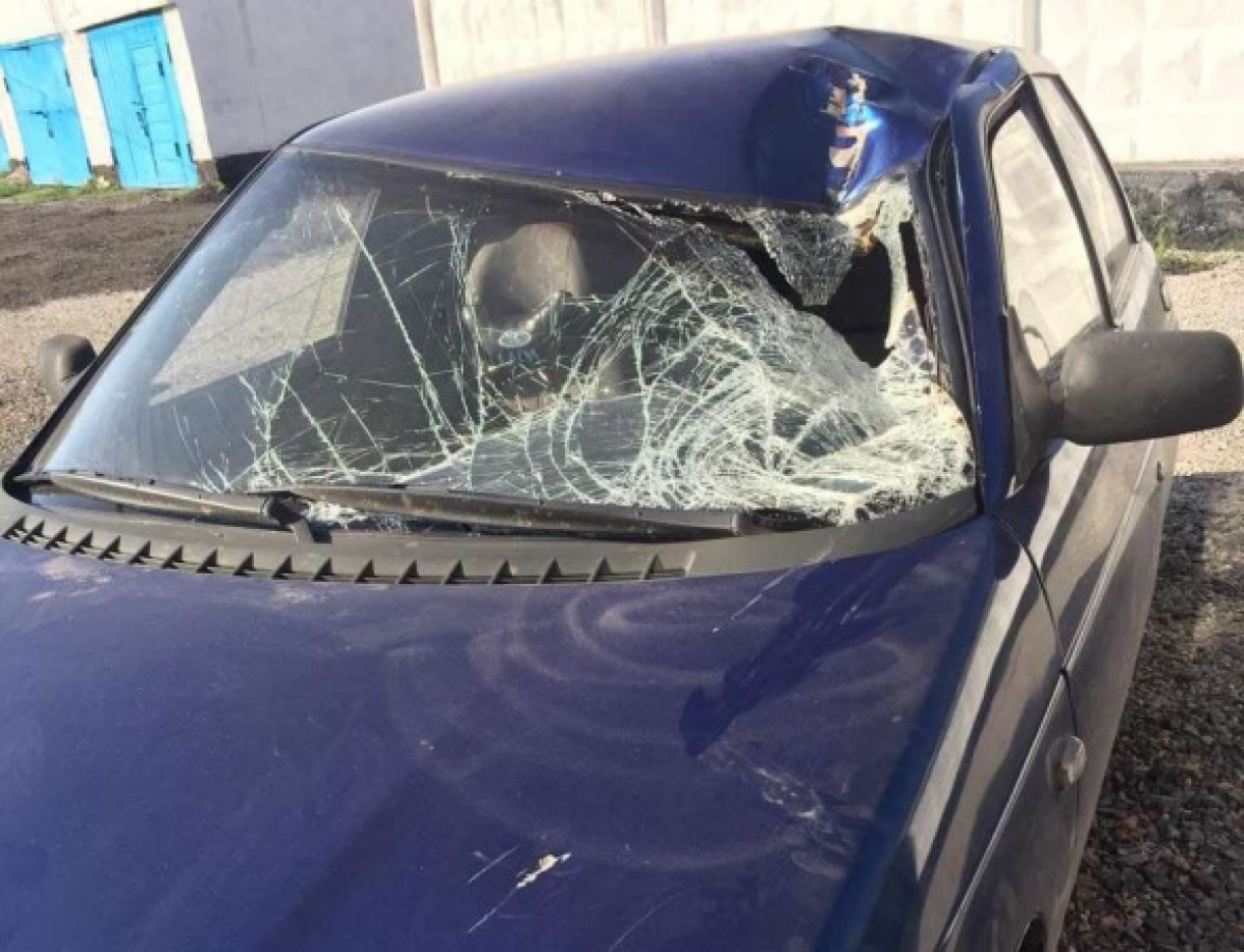 telegram/@patriot_patriot