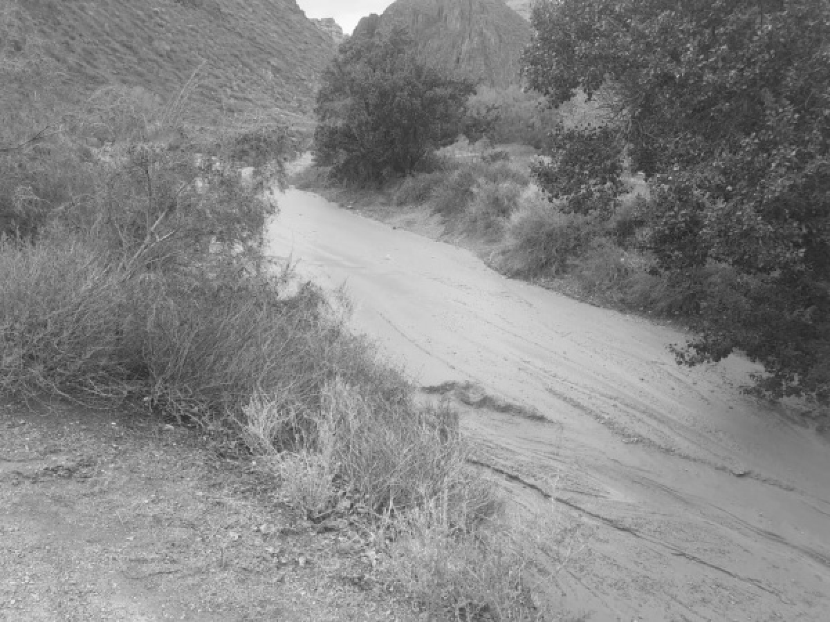 Сагинтаев выразил соболезнования семьям погибших во время селя на Чарыне