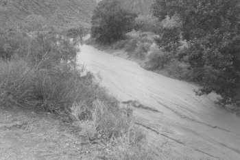 Фотография к новости: Сагинтаев выразил соболезнования семьям погибших во время селя на Чарыне