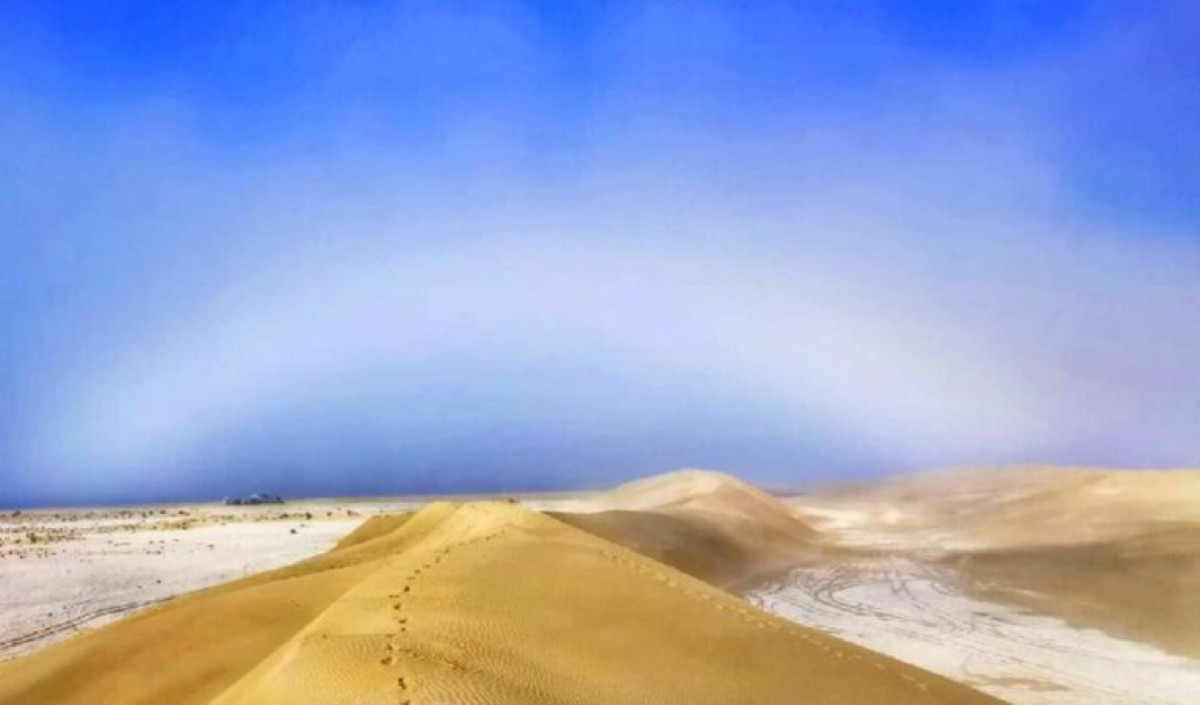 Ольга Михайлова 