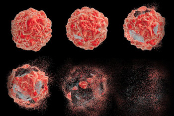 Фотография к новости: Ученые изобрели убивающий раковые клетки способ