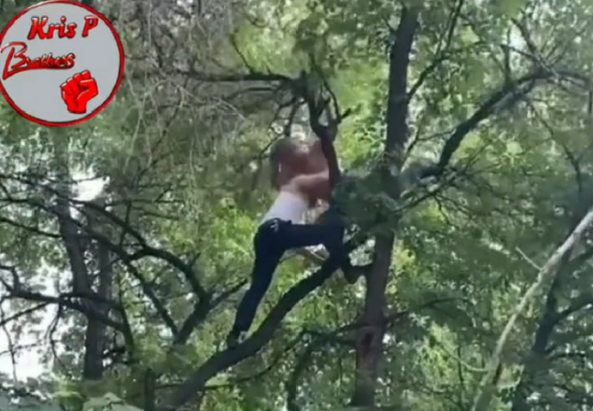 скриншот с видео