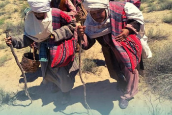 Фотография к новости: Фильм о голодоморе снимают в Мангистауской области