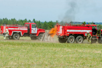 Фотография к новости: Спасатели РК и РФ учились вместе тушить лесной пожар на приграничной территории