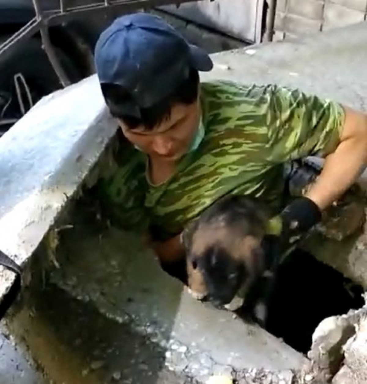 Спасатели вызволили щенка из двухдневного заточения под бетонной плитой в ВКО