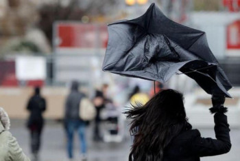 Фотография к новости: Сорванные крыши и поврежденные авто: сильный ветер накрыл Шымкент