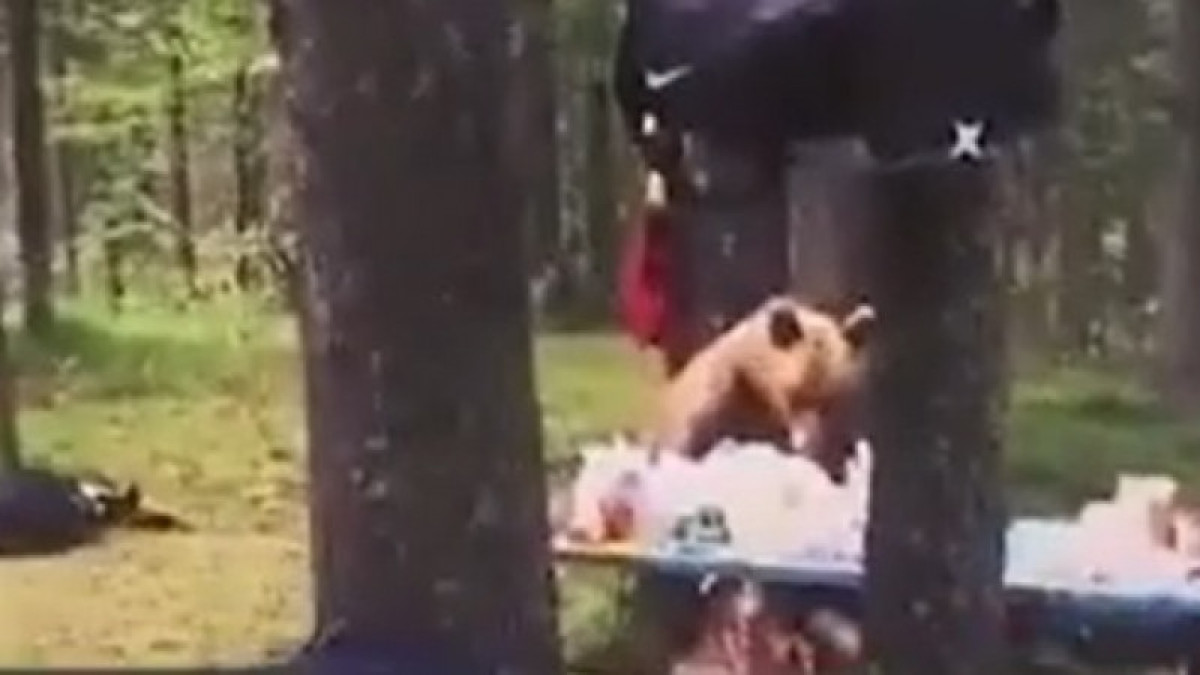 кадр из видео 