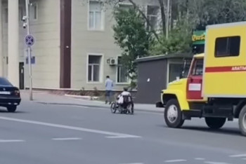 Фотография к новости: Астанчане восхитились собакой, помогающей хозяину в инвалидной коляске