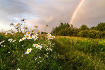 Фотография к новости: Жара отступит в Казахстане
