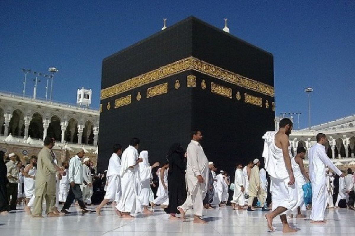 из открытых источников