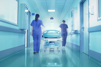 Фотография к новости: Оригинальные мутации коронавируса выявлены в России