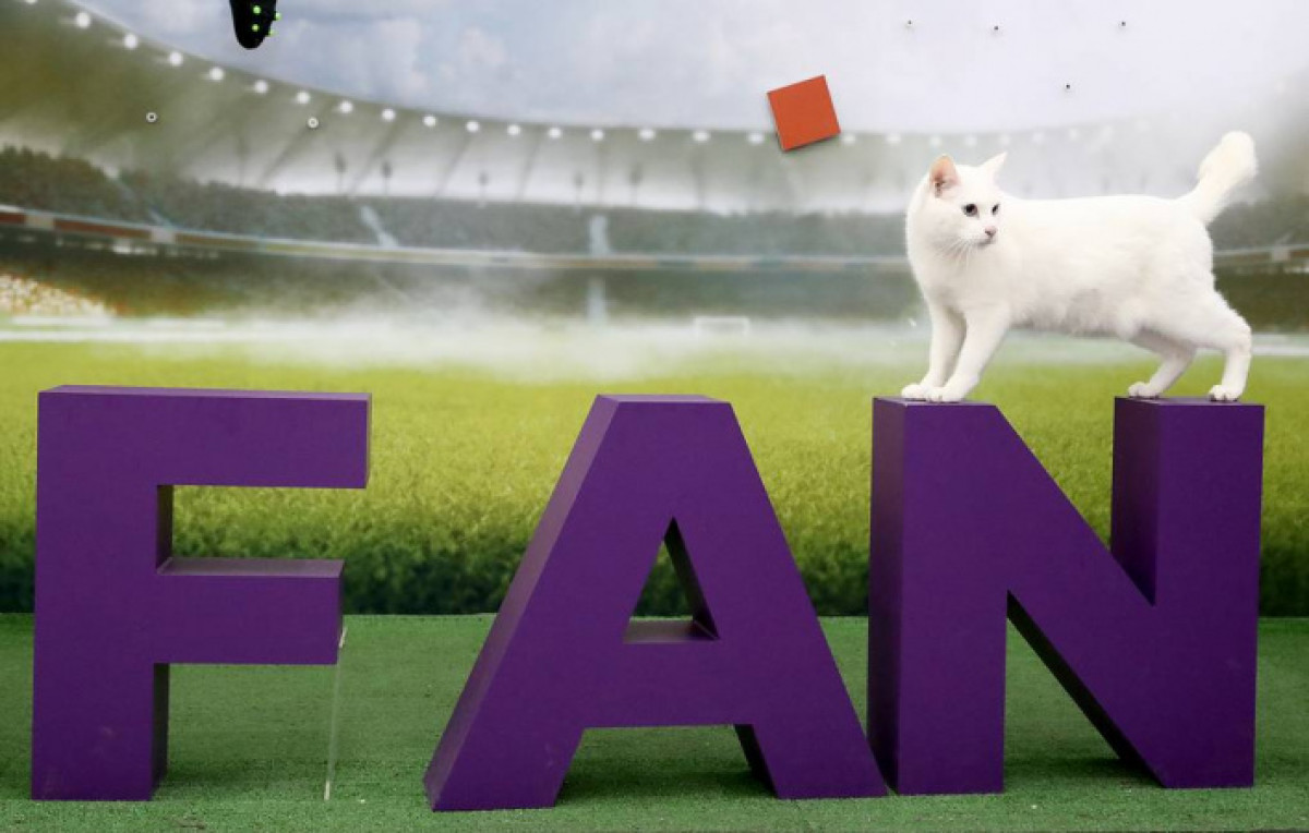 © Станислав Красильников/ТАСС