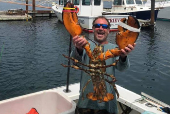 Фотография к новости: Американца проглотил кит. Мужчине удалось выжить