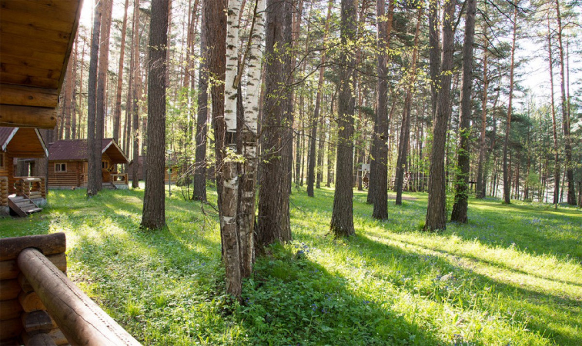 иллюстративное