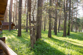 Фотография к новости: Пять человек подозревают в изнасиловании несовершеннолетней на базе отдыха в СКО