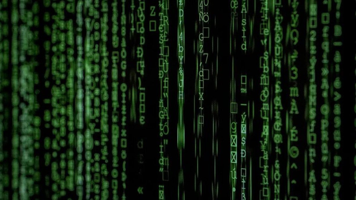 Исходный код интернета выставили на аукцион