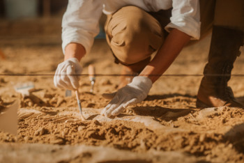 Фотография к новости: Ученые нашли самую старую мокрицу на Земле