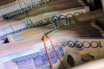 Фотография к новости: Фейком оказалась новость о съеденных термитами триллионах в хранилище Нацбанка